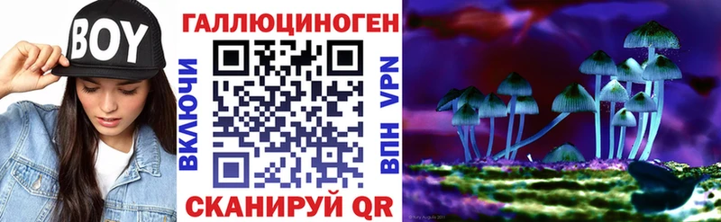 Галлюциногенные грибы Psilocybine cubensis  продажа наркотиков  omg как войти  Йошкар-Ола 